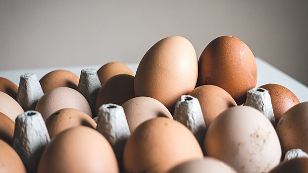 Диетолог развеяла миф о влиянии цвета куриных яиц на их вкус и пользу