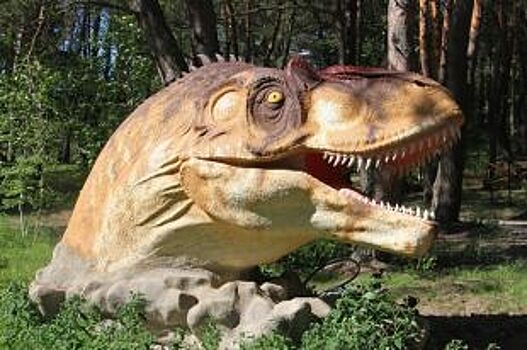 Названа дата открытия парка динозавров в Белгороде