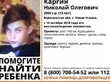 В Воронеже без вести пропал 13-летний подросток