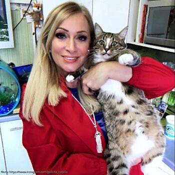 Коты Наталии Гулькиной стали настоящими звездами Instagram