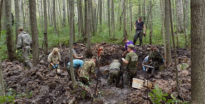 Останки более тысячи красноармейцев нашли в Новгородской области