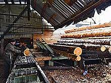 Завод пиломатериалов построят в Кодинске к концу 2018 года