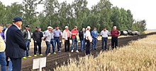 Южноуральские аграрии выбрали продуктивные сорта пшеницы