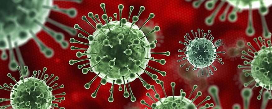 В Новосибирской области подтверждены еще 46 случаев коронавируса