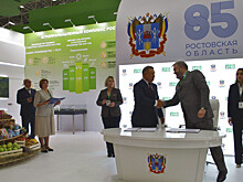 Первый суперинтенсивный ореховый сад на Дону с капельным орошением создают в Каменском районе