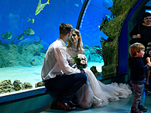 Москвичам рассказали о выездных регистрациях брака в необычных местах