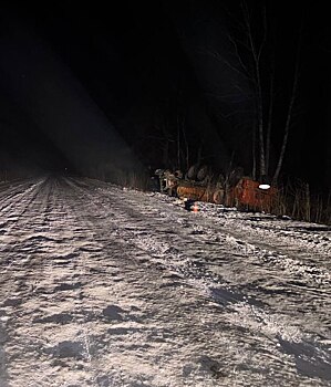 В Сорочинском округе грузовик опрокинулся в кювет, водитель получил травмы