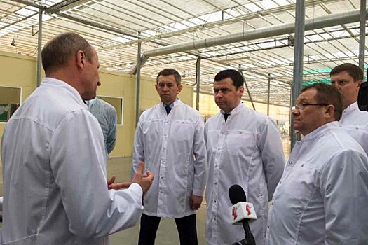 Дмитрий Миронов обсудил с руководством тепличного комбината «Ярославский» вопросы расширения производства