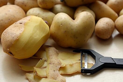 Диетолог рассказала о пользе картофеля для сосудов и легких