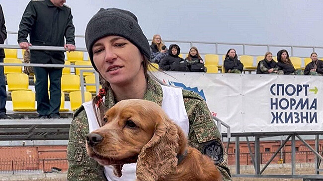 В Толмачево спаниель Робин не пустил через таможню гражданина КНР