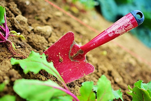 В Госдуму внесен пакет законопроектов о регулировании деятельности садоводческих товариществ