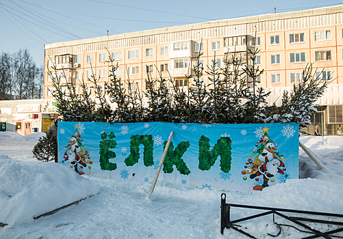 Пункт приема новогодних елок заработал в Кемерове