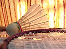 Приморские бадминтонисты на чемпионате России выиграли три медали