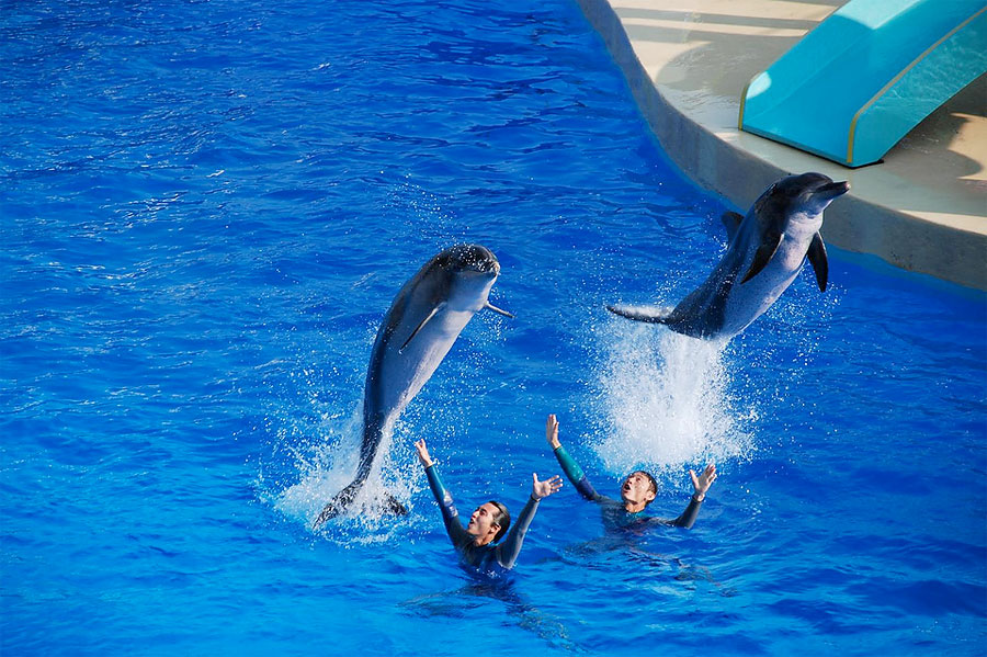 Парк развлечений Ocean Park, Гонконг, Азия