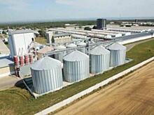 Почему Усольский свинокомплекс может оказаться на грани закрытия: «Грязное дело»