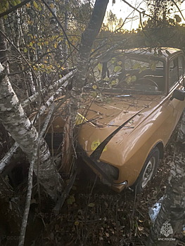 «Москвич» обнял дерево