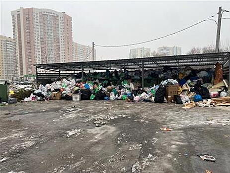 Самарские власти решили подсчитать, сколько мусорят жители