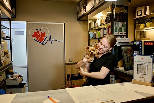 Нижегородские ветеринары окажут более 100 бесплатных услуг животным