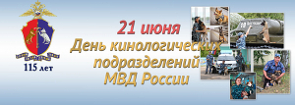 Кинологической службе исполняется 115 лет