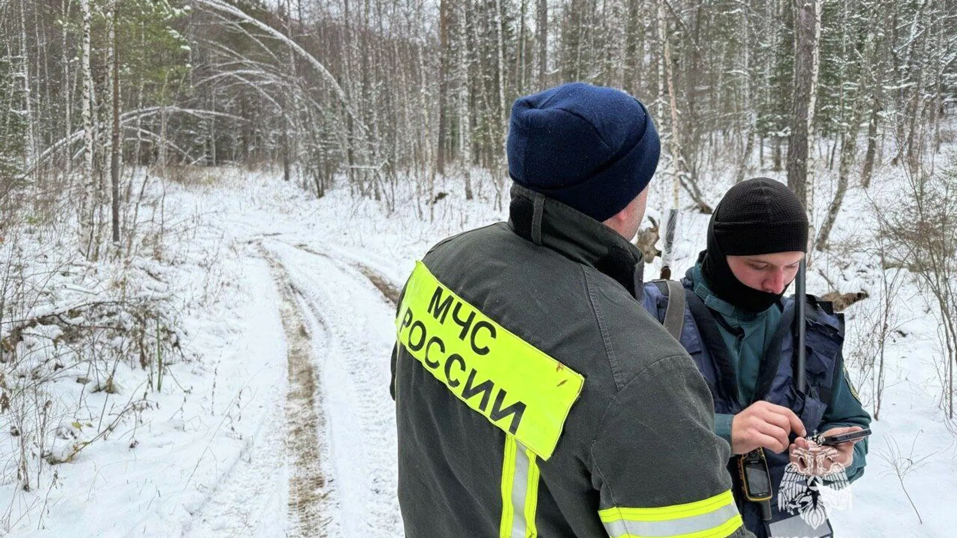 Охотник объяснил, почему не нашли пропавшую под Красноярском семью Усольцевых