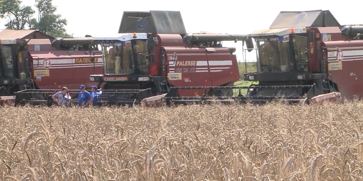 Уборочная кампания: аграрии Беларуси собрали пять млн тонн зерна