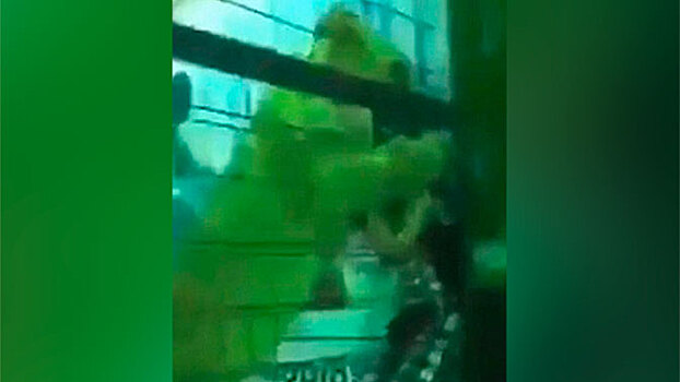 Лев напал на маленькую девочку в Саудовской Аравии: видео