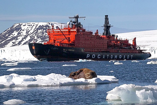 Россия может выйти из Арктического совета. Что это за структура?