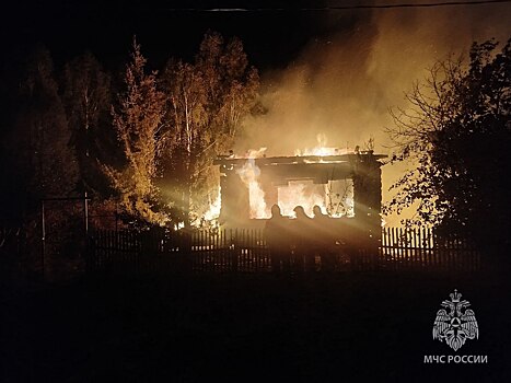 99-летняя женщина погибла на пожаре в Борском округе