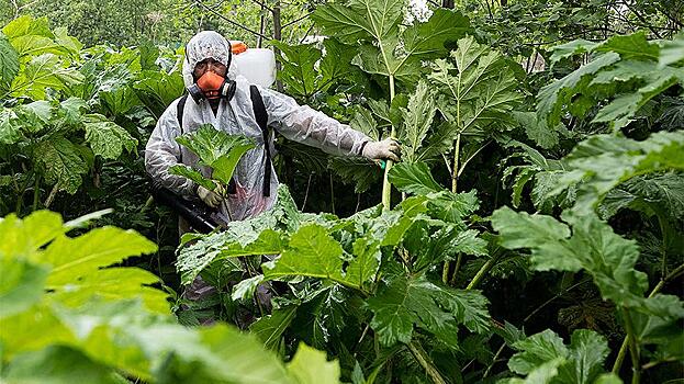 В США испугались «ядовитого пришельца» из России