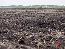 Фермеров Ангарска обвинили в загрязнении почвы: ущерб почти 300 миллионов