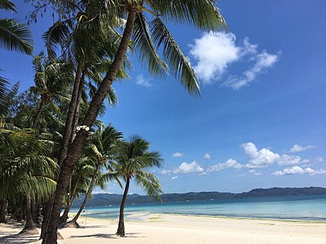 Из-за туристки, закопавшей детский подгузник в песок, закрыли лучший филиппинский пляж