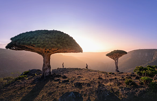 Российские туристы не отказываются от поездок в Йемен и Бахрейн