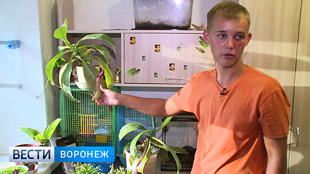 Воронежский школьник собрал коллекцию опасных растений-хищников