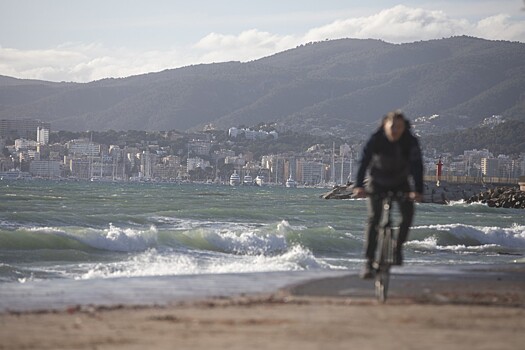 Россиянин решил проехать всю Америку на велосипеде из бамбука