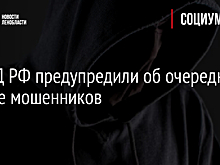 В МВД РФ предупредили об очередной уловке мошенников