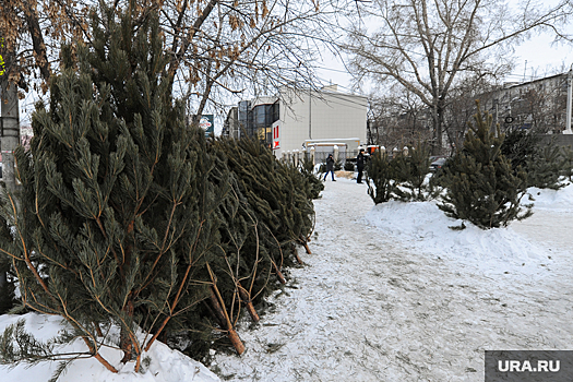 В Челябинске началась подготовка к открытию елочных базаров