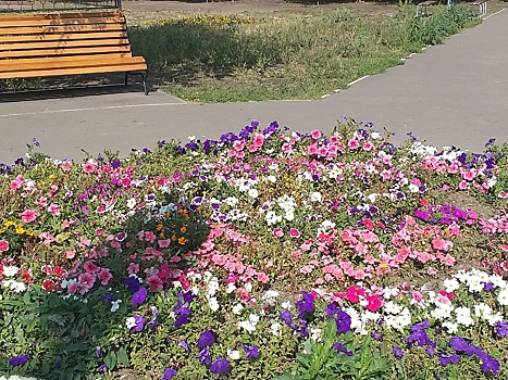 В сквере на улице Тархова будут встречаться шахматисты, волейболисты и хоккеисты