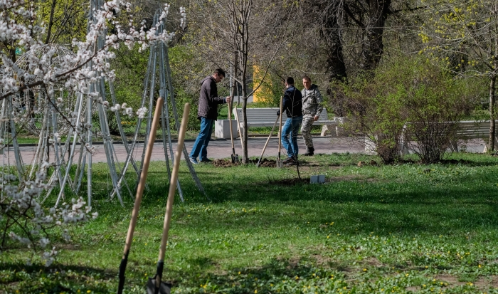 В парке Памяти в Волгограде провели весенний субботник