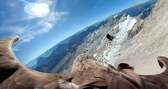 Орёл с камерой показал тающие ледники в Альпах