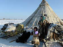 Ученые составят атлас наследственных заболеваний народов Севера на Ямале