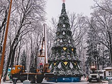 Новогоднюю ель наряжают в парке Калуги