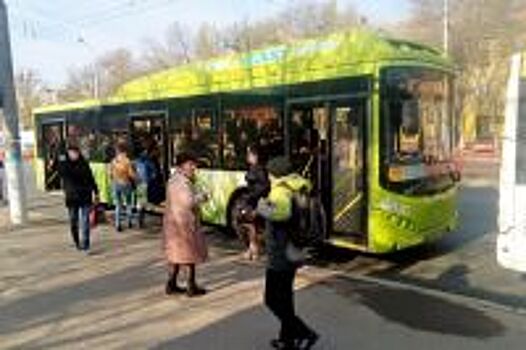 Волгоградский мультипликатор высмеял автобусы «ПитерАвто»