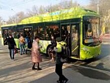 Волгоградский мультипликатор высмеял автобусы «ПитерАвто»