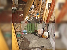 Вологодские власти пообещали помочь живущей в захламлённой квартире семье инвалидов