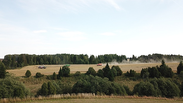 В Вавожском районе побили рекорд 2022 года по валовому сбору зерновых и зернобобовых культур