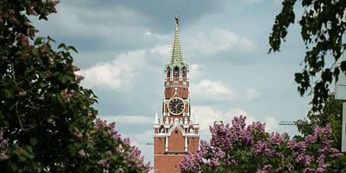Все стены и башни Московского Кремля отреставрируют
