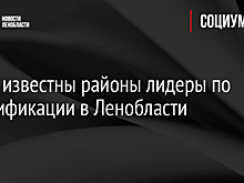 Стали известны районы лидеры по догазификации в Ленобласти
