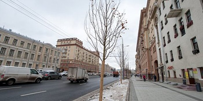 "Моя улица" завершит благоустройство Садового кольца в этом году