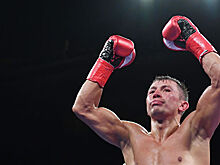 Головкин и Деревянченко поборются за титул чемпиона IBF