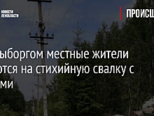 Под Выборгом местные жители жалуются на стихийную свалку с крысами